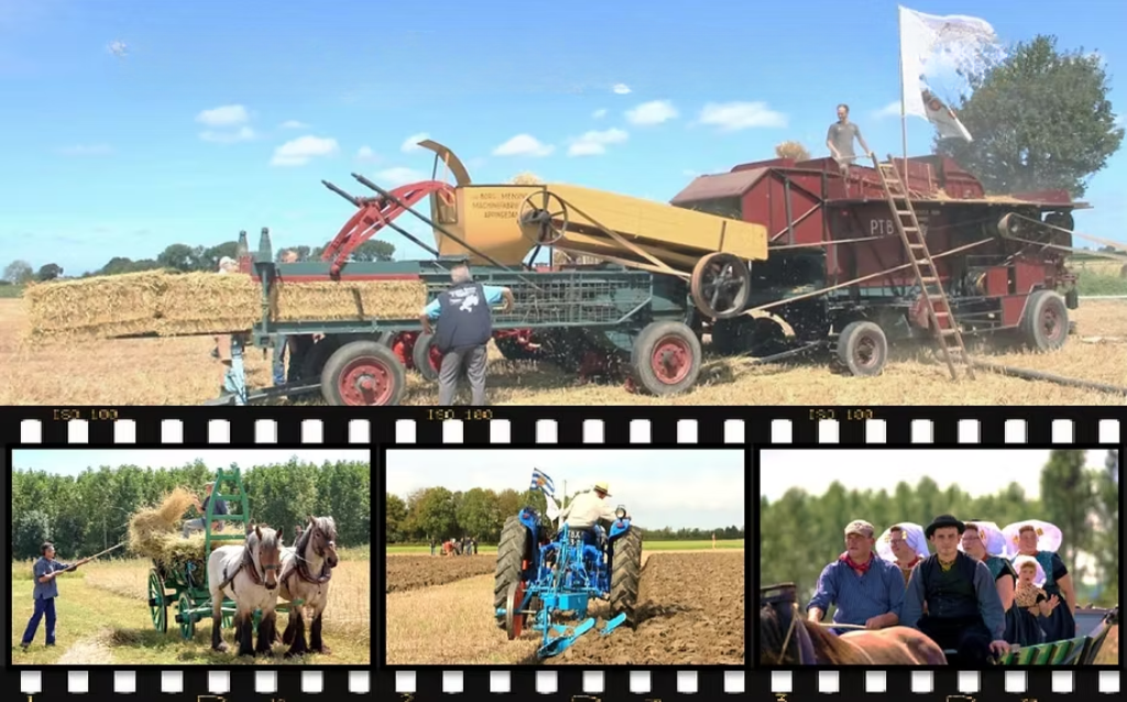 16 augustus 2025 Oogstdemonstratie ’s Heerenhoek