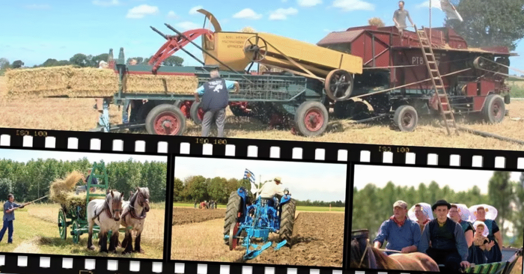 Stichting Het werkend Trekpaard Zeeland