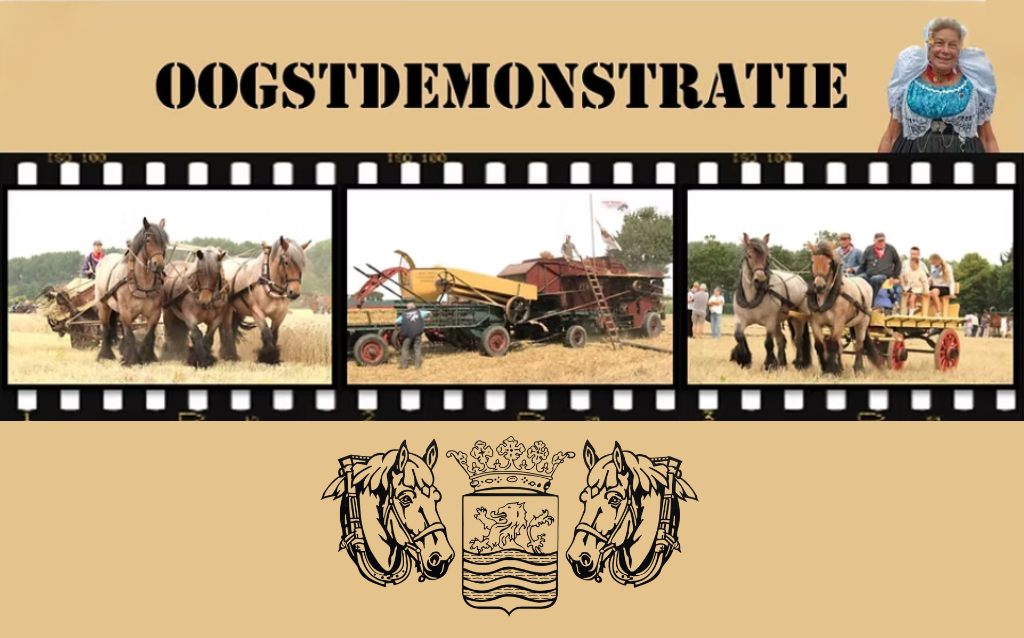 11 augustus 2026 Oogstdemonstratie Oostkapelle