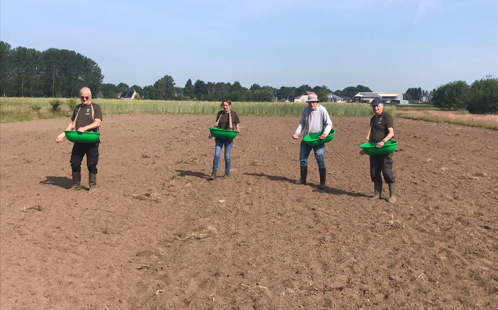 Sint Jansrogge op de Schommeling: een ode aan 800 jaar Sint Jansteen